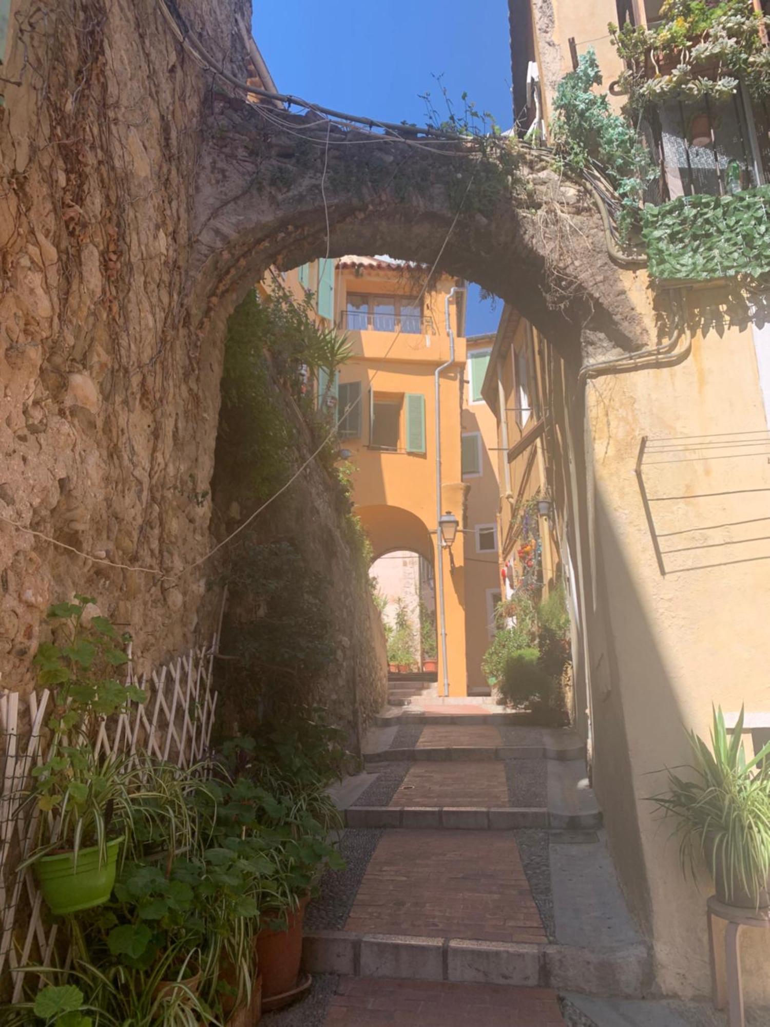 - Vieille * Menton